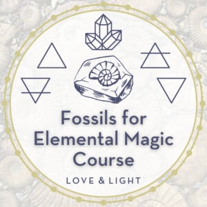 Fossils for Elemental Magic Course