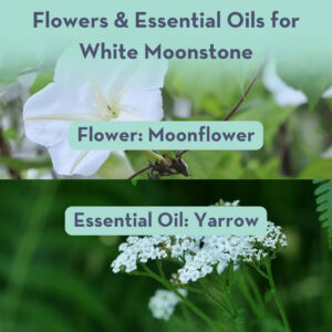 Flowers & Essential Oils for White Moonstone