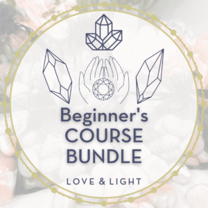 Beginners Course Bundle