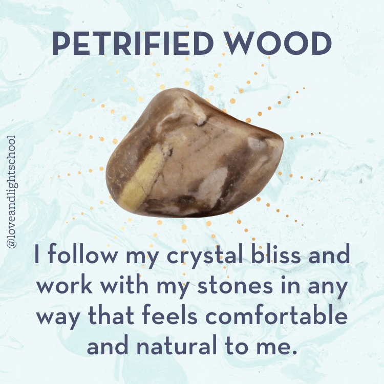Healing Properties of Petrified Wood