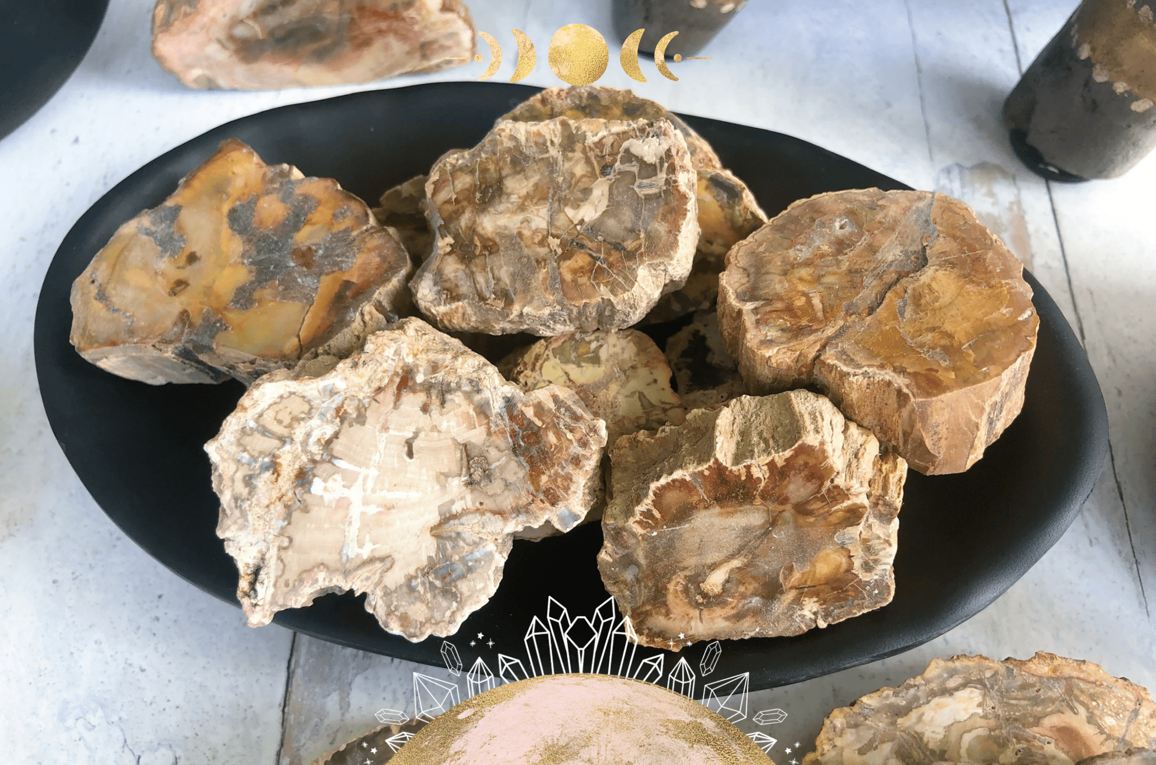 Healing Properties of Petrified Wood: A Crystal for Grounding & Ancestor Connection