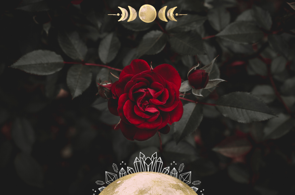 Interview with Kathryn Solie