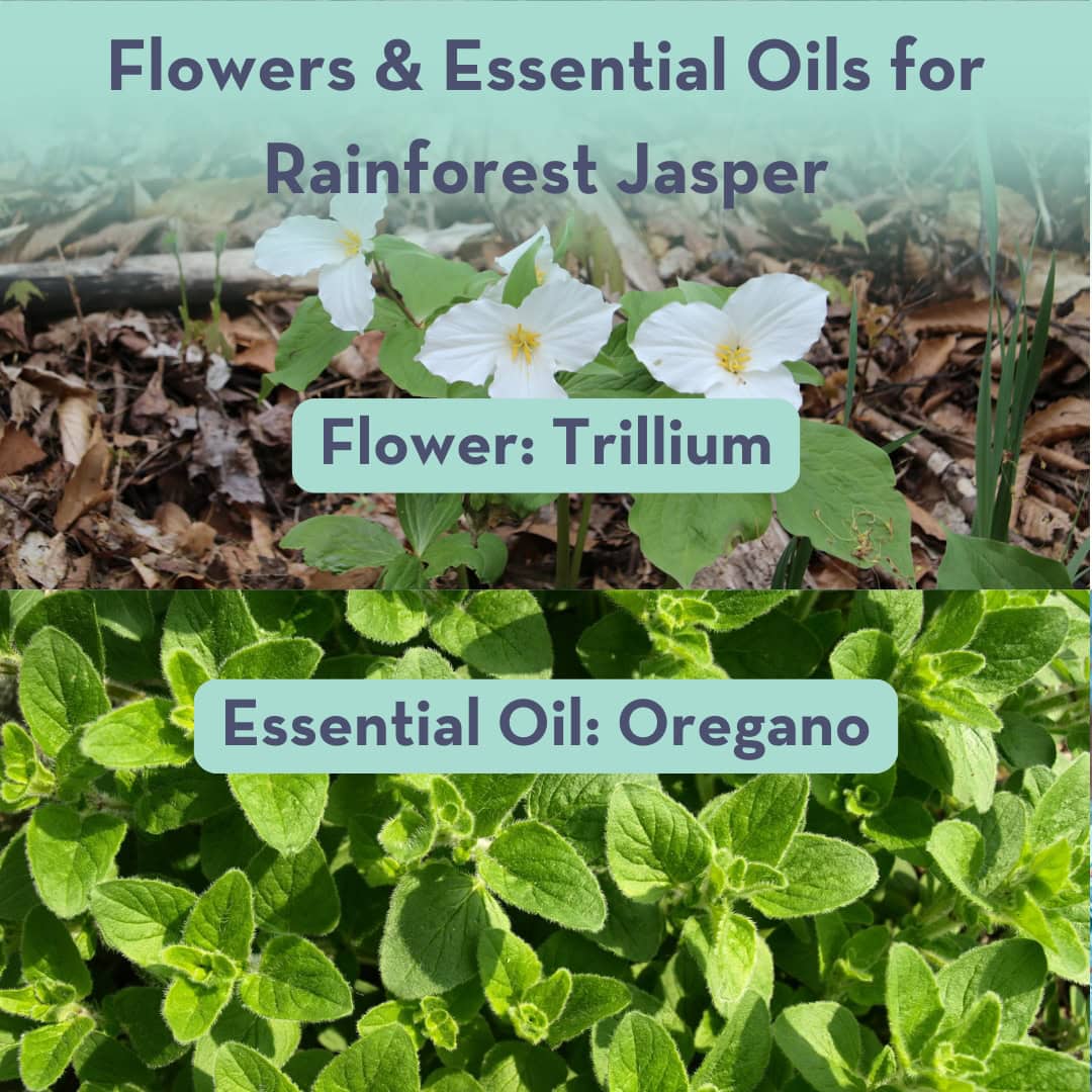 Healing Properties of Rainforest Jasper