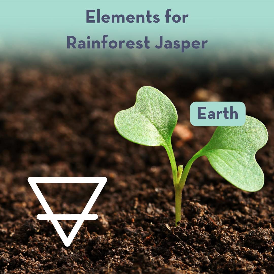 Healing Properties of Rainforest Jasper