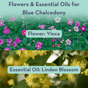 Flowers & Essential Oils for Blue Chalcedony