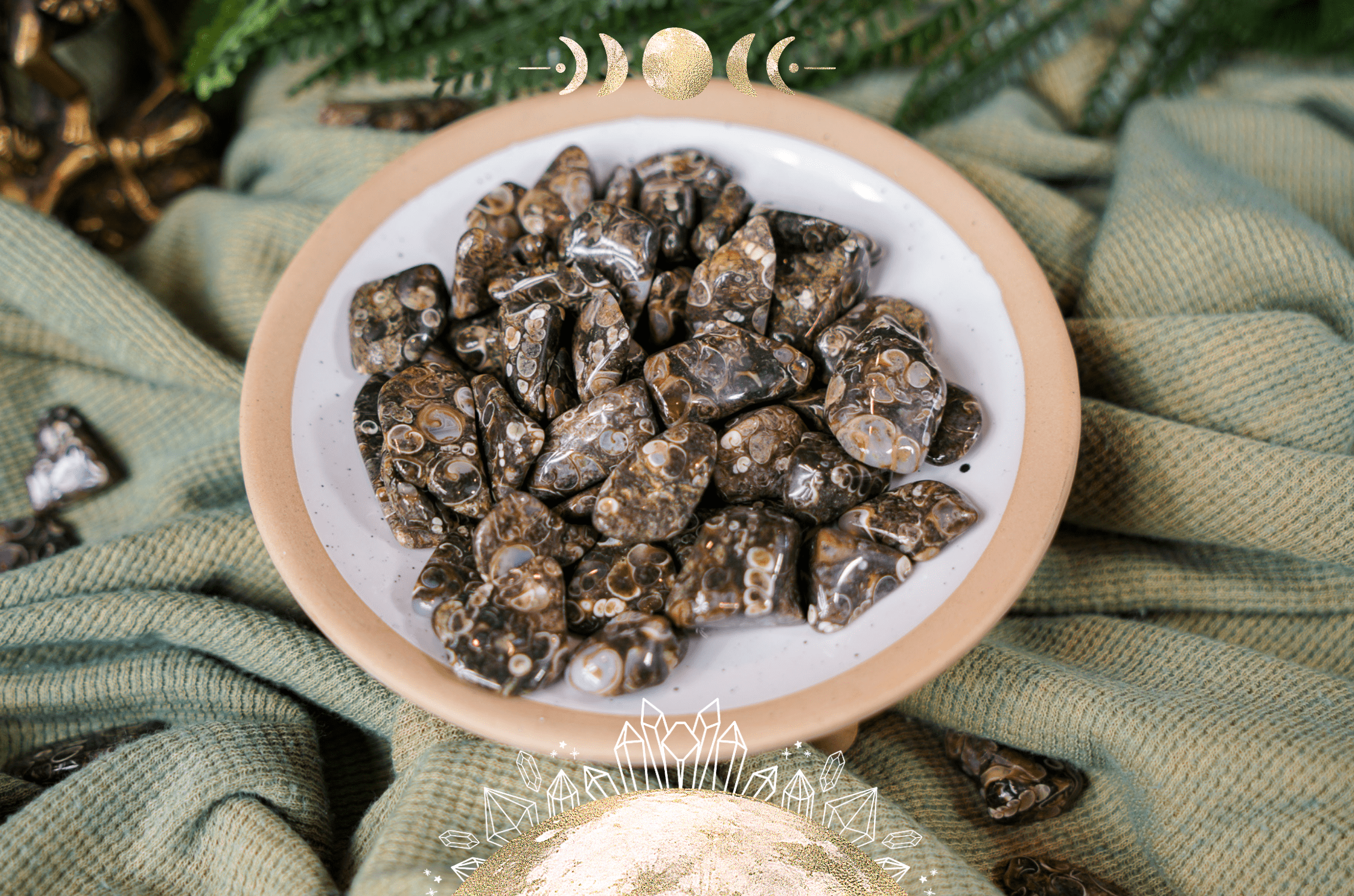 Healing Properties of Turritella Agate: A Crystal for Inner Guidance