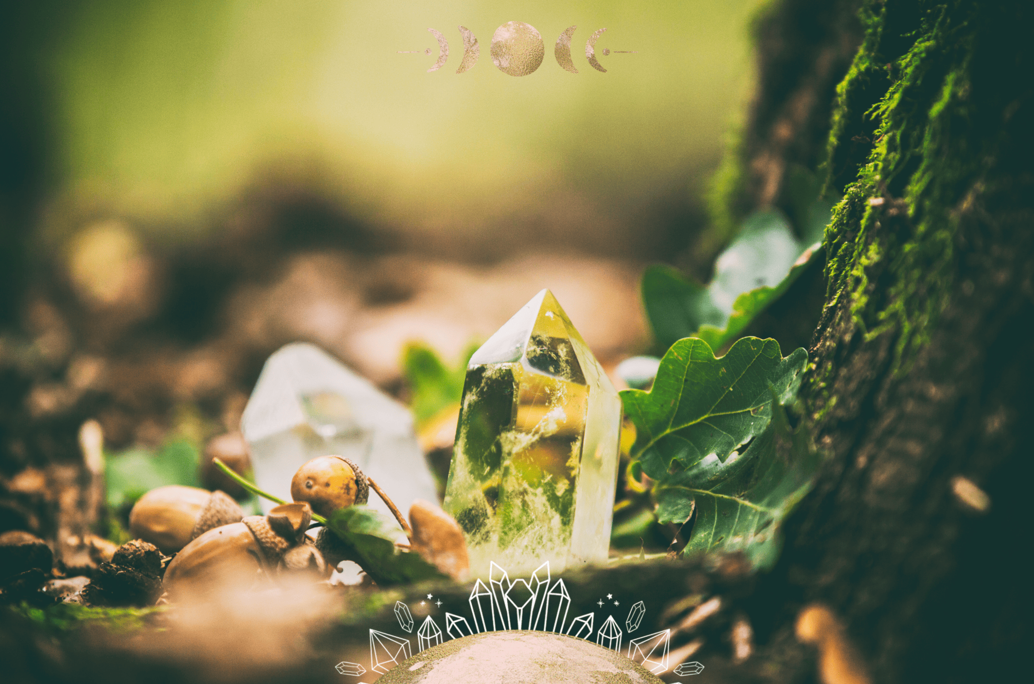 Photo of a clear crystal next to a tree inbetween mushrooms
