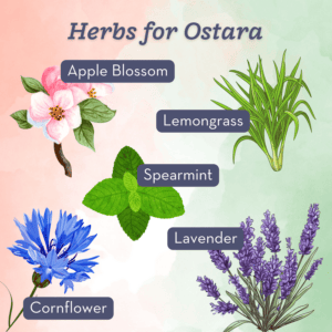 Herbs for Ostara