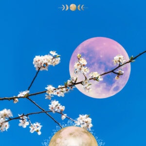 Flower Moon Ritual