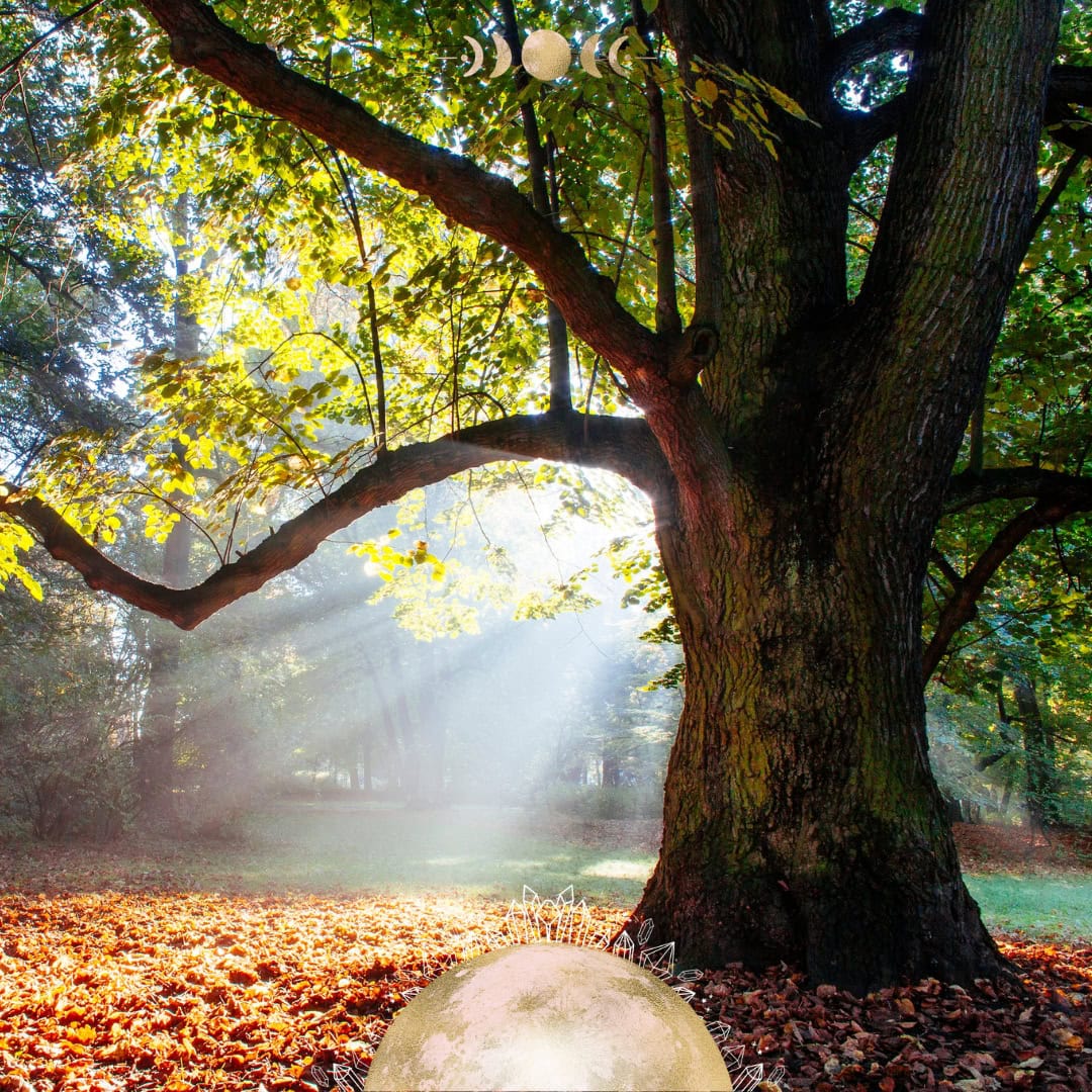 Crystals for the Fairy Moon | Meaning, Magic, and How to Harness Its Energy