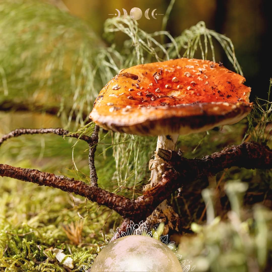 Crystals for the Fairy Moon | Meaning, Magic, and How to Harness Its Energy