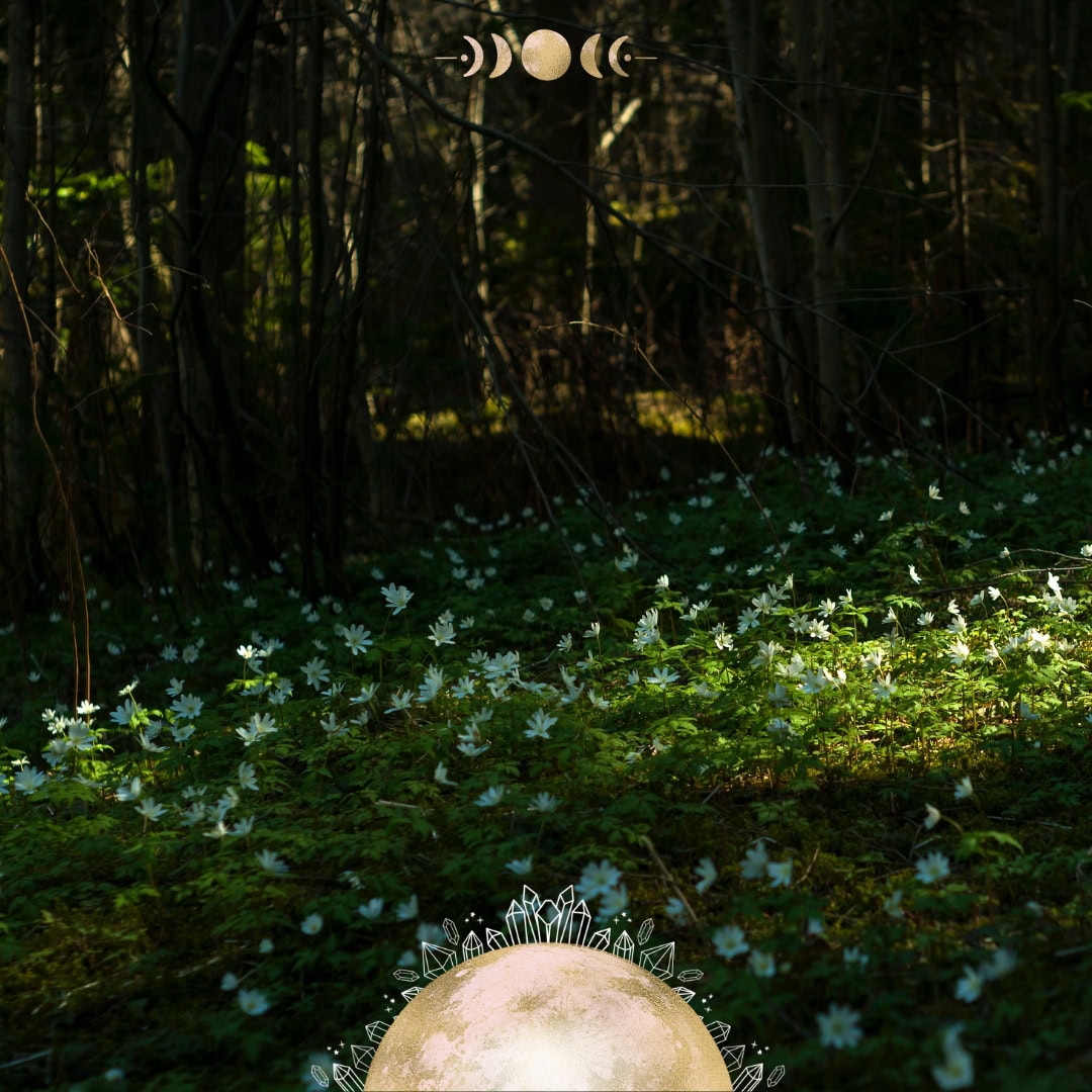 Crystals for the Fairy Moon | Meaning, Magic, and How to Harness Its Energy