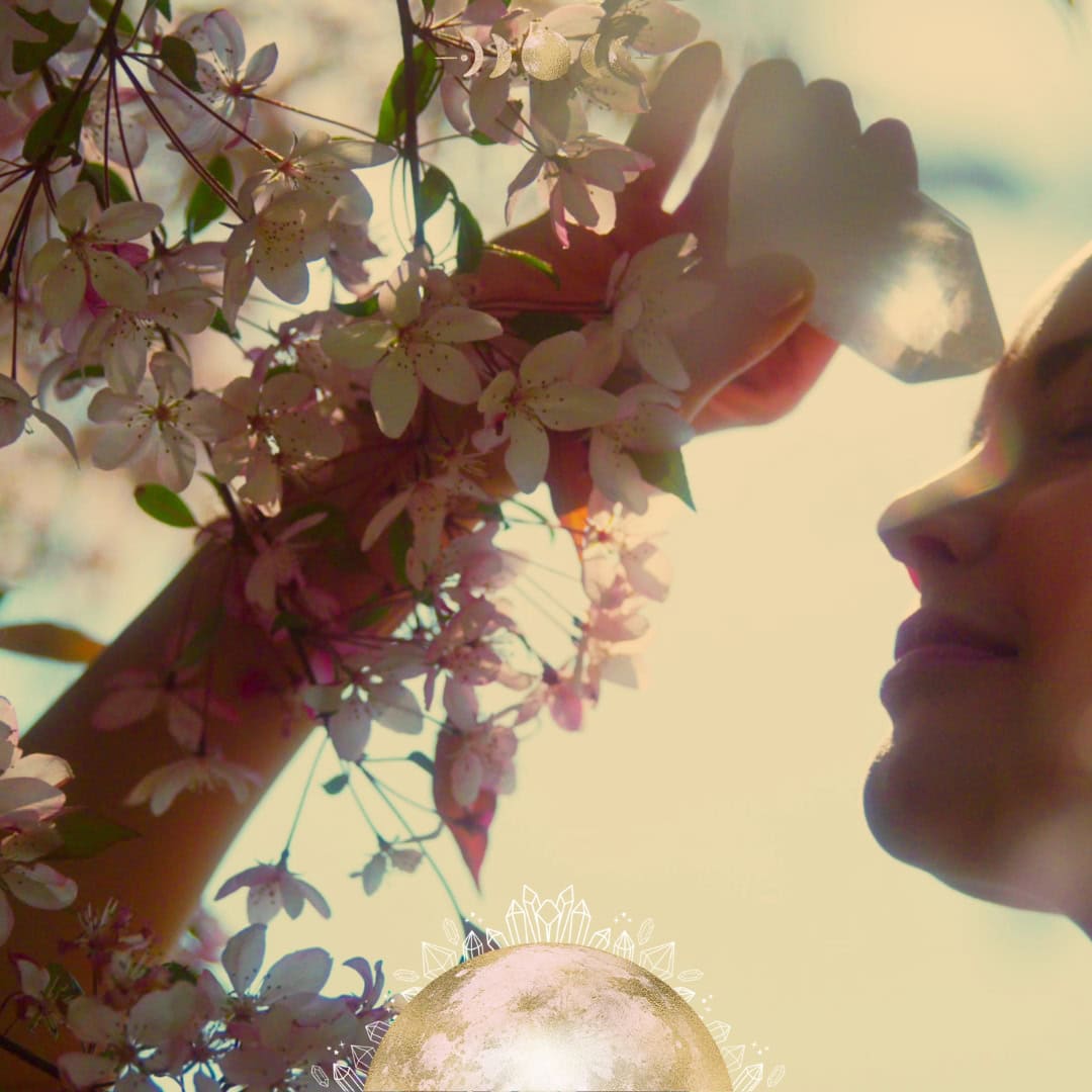 How to Celebrate Spring Equinox | Crystals, Rituals and a Card Spread for Ostara