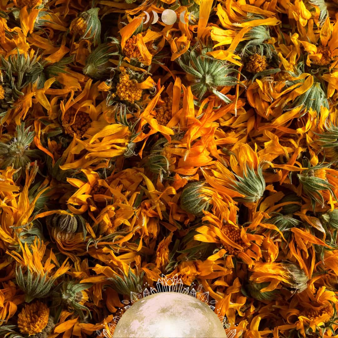 Calendula Salve Recipe | Simple DIY Kitchen Witchery!